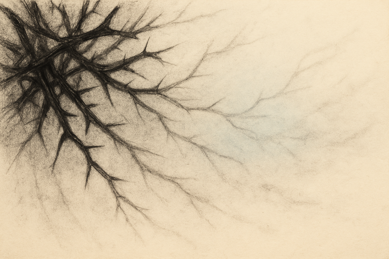 The Storm and What Lies Beneath It